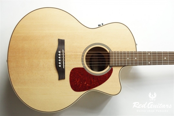 Performer CW Mini Jumbo HG QIT